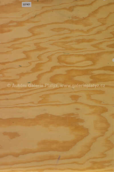  / Sluníčko - Monstrance / Jan Saudek