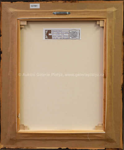  / Dům u Divého muže / Vladimír Jeniš