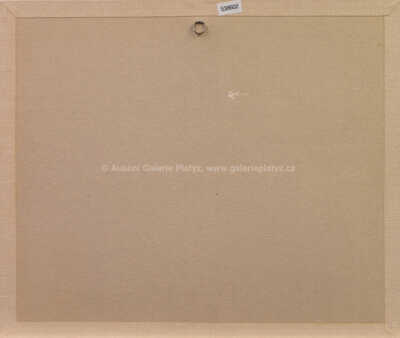  / Kudy k Flekům? / Alois Mikulka