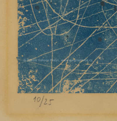  / Pávi / Zdeněk Sklenář