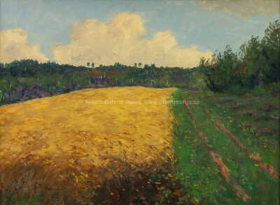  / Polní cesta / Viktor Seifert