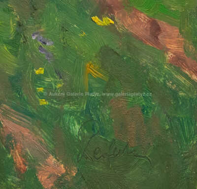  / Polní cesta / Viktor Seifert