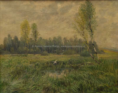  / Mokřady / Václav Březina