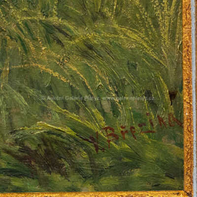  / Mokřady / Václav Březina