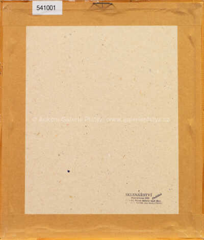  / Nohy vedle sebe s drapérií / Olbram Zoubek