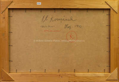  / Zima na Lazoch / Vladimír Kompánek