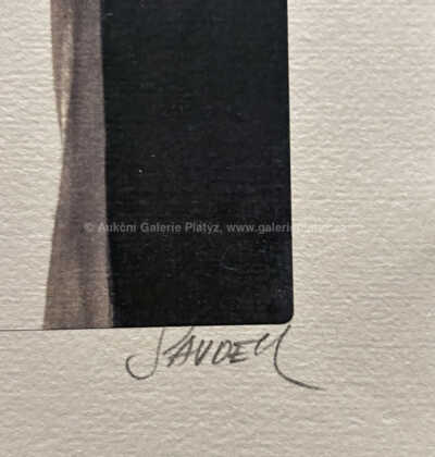  / Žena s cigaretou / Patrik Saudek