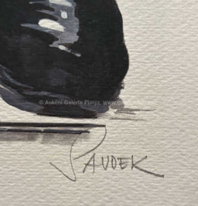  / V kozačkách / Patrik Saudek