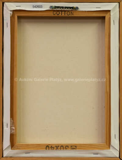  / Ucho / Tomáš Kobolka