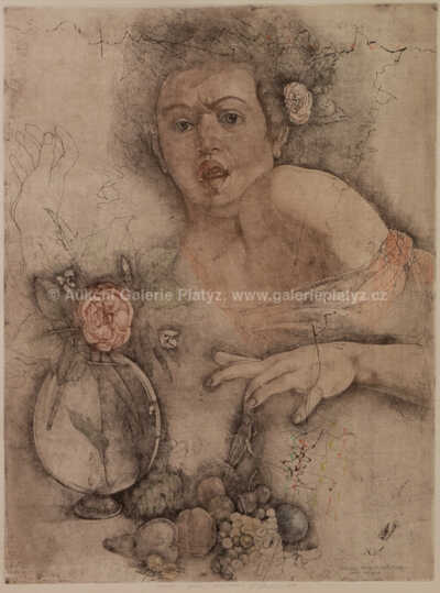 / Ještěrka / Jiří Anderle