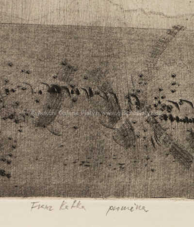  / Franz Kafka, Proměna / Jiří Anderle