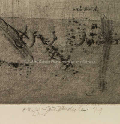  / Franz Kafka, Proměna / Jiří Anderle