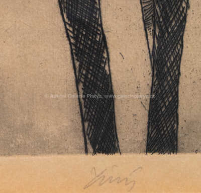  / Paganini / František  Tichý