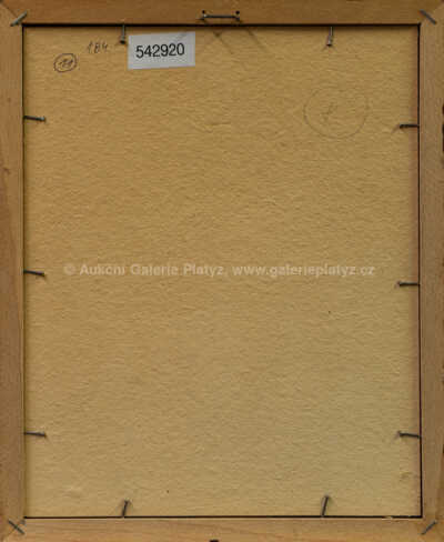  / Bez názvu / František  Tichý