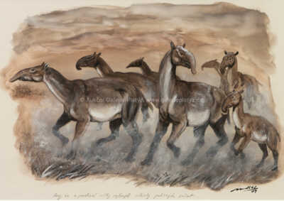  / Macrauchenia / Petr Modlitba