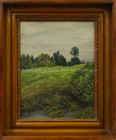 František Kaván - Letní krajina