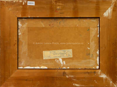  / V květu / Karel Hofman