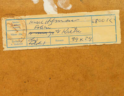  / V květu / Karel Hofman