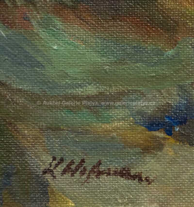  / Tání / Karel Hofman