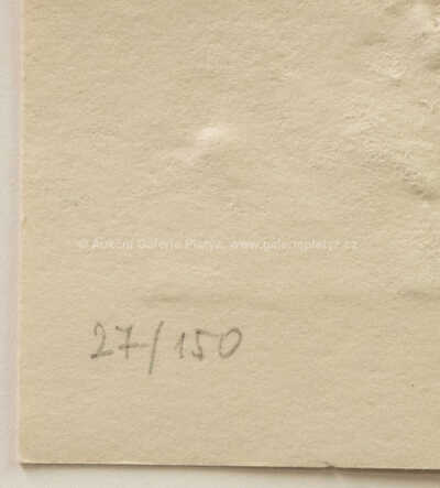  / Sergeji! Drahuno! / Olbram Zoubek