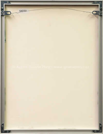  / Sergeji! Drahuno! / Olbram Zoubek