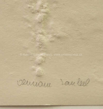  / Sergeji! Drahuno! / Olbram Zoubek