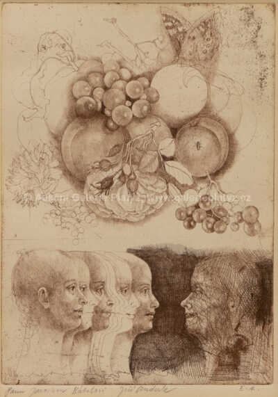  / Vanitas X. - Pomíjivost / Jiří Anderle