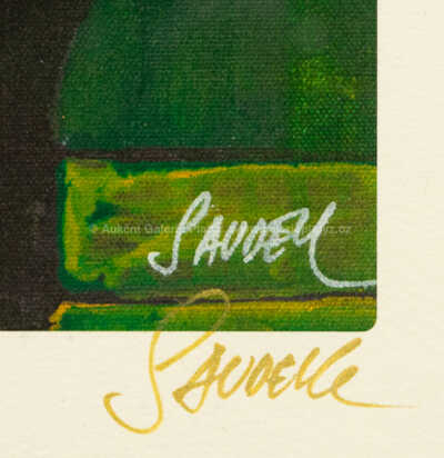  / Havel / Patrik Saudek