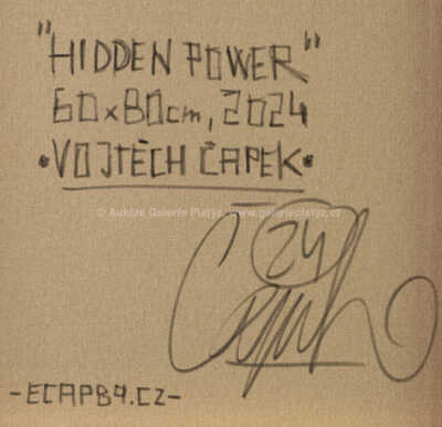  / Hidden power / Vojtěch Čapek