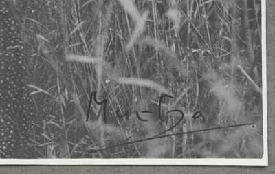  / Dívka ve vysoké trávě / Alfons Mucha