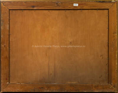  / Krajina před bouří / Viktor  Rolín