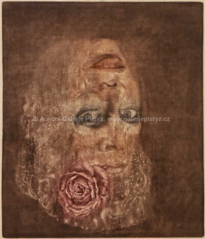 / Madame Reversible / Jiří Anderle