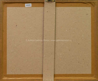  / Ulice v Paříži / František Tavík Šimon