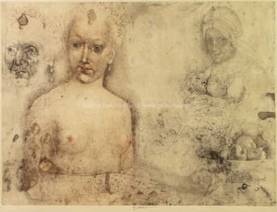  / Diana de Poitiers / Jiří Anderle