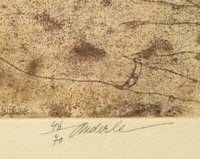  / Diana de Poitiers / Jiří Anderle