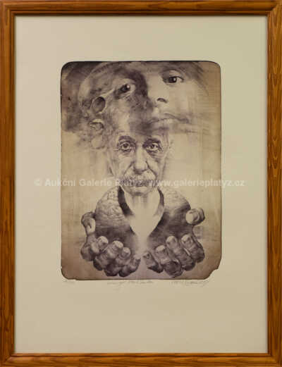 Oldřich Kulhánek - Albert Einstein