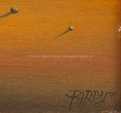  / Vzduchoplavci / Pavel Pardy