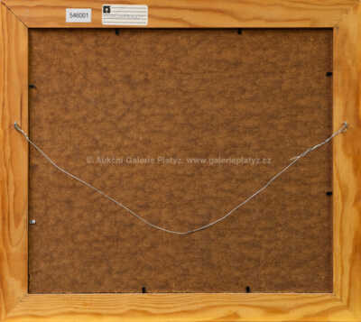  / Vzduchoplavci / Pavel Pardy