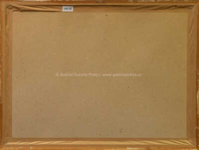  / Vesmír / Vladimír Renčín