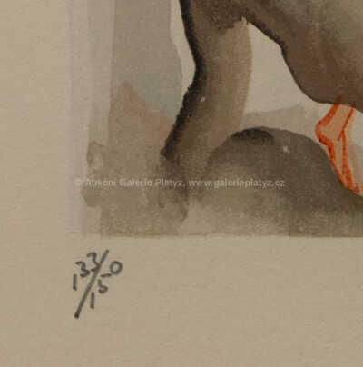  / Božská komedie - zpěv 32 / Salvador Dalí