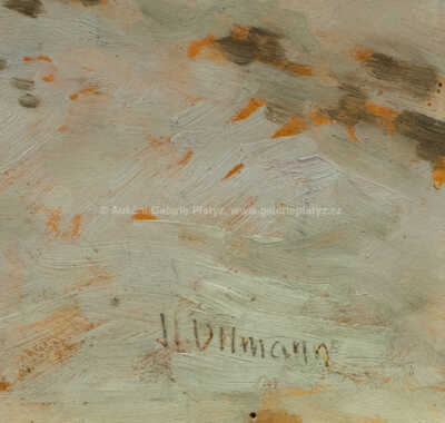  / Zima u chalup / Josef Ullmann