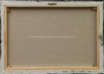  / Triumph Dolomite / Petr Lichtenberg