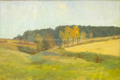  / Podzim v lukách / Roman Havelka