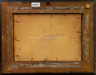  / Podzim v lukách / Roman Havelka