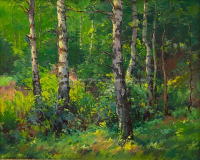  / Břízky / František Daněk - Sedláček