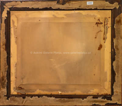  / Kočovníci / František Daněk - Sedláček