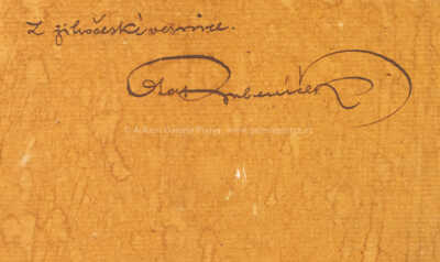  / Z jihočeské vesnice / Ota Bubeníček