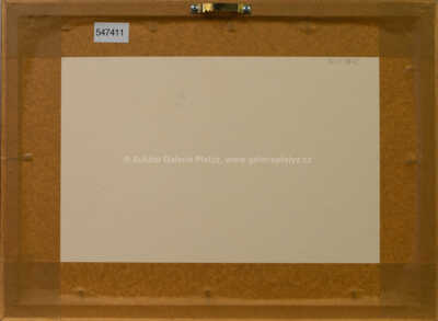  / Nobi / Zdeněk Burian