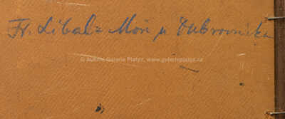  / Moře u Dubrovníka / František Líbal