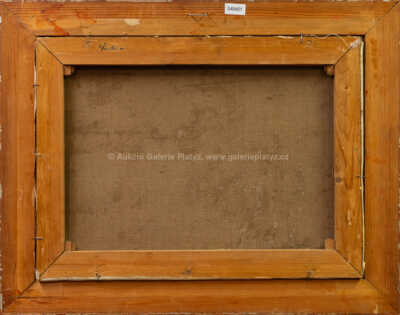  / U lesa / Roman Havelka